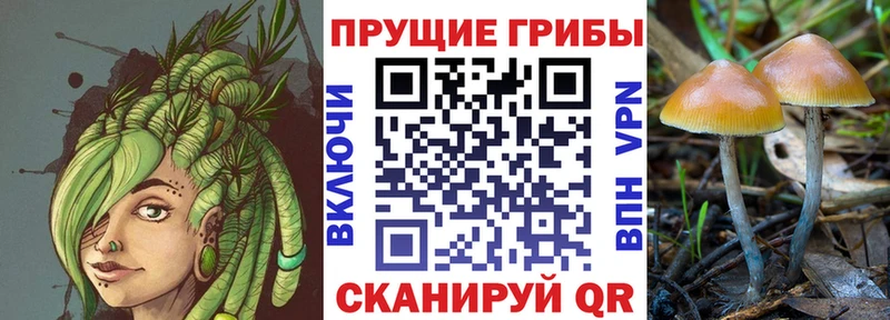 Галлюциногенные грибы мухоморы где купить наркоту Козьмодемьянск
